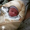Chlapec se narodil pod dálničním mostem ve Velké Bíteši. Jde o letošní druhé miminko narozené v sanitním voze.