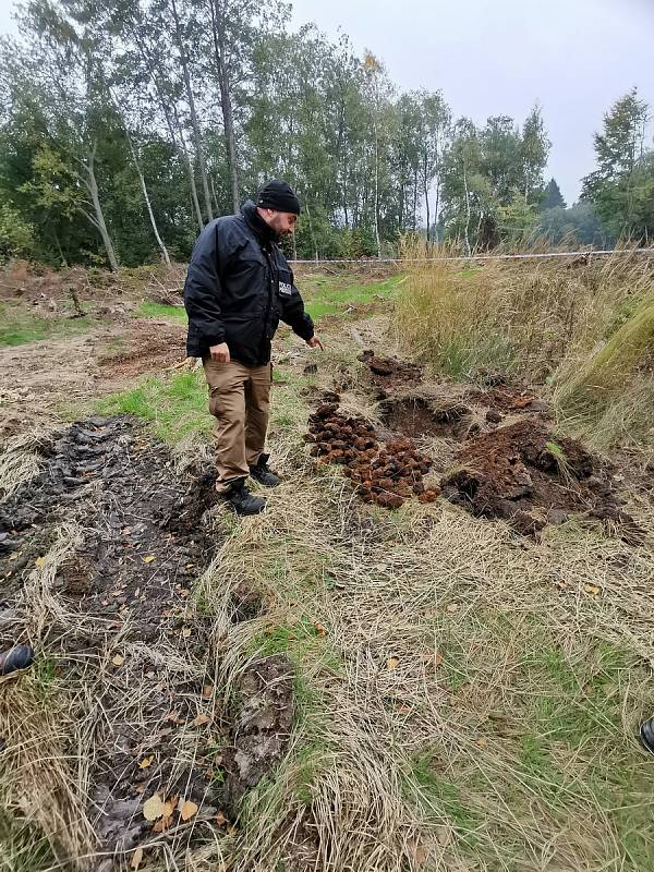 Přes sto padesát granátů a desítky roznětek zřejmě z druhé světové války našli pyrotechnici v lese u Vlachovic u Nového Města na Moravě.