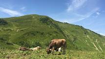 Lyžařská oblast Fellhorn Kleinwalsertal