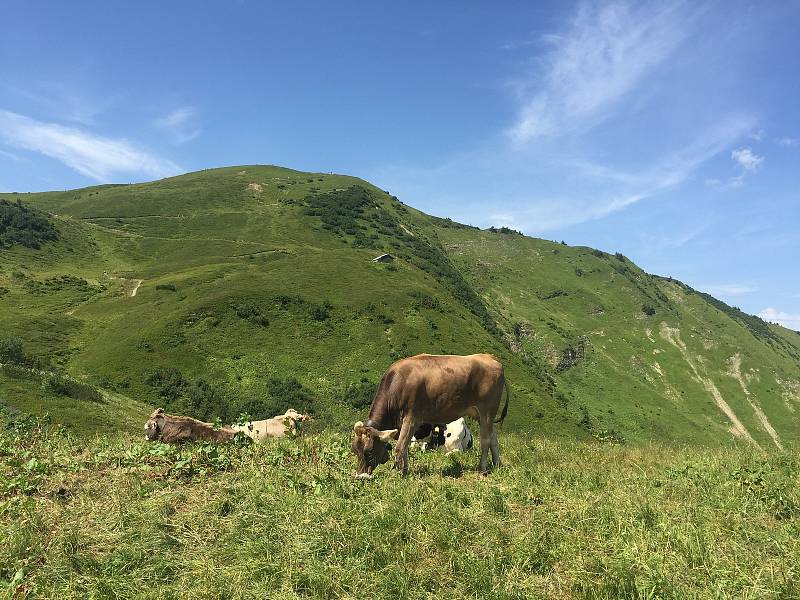 Lyžařská oblast Fellhorn Kleinwalsertal