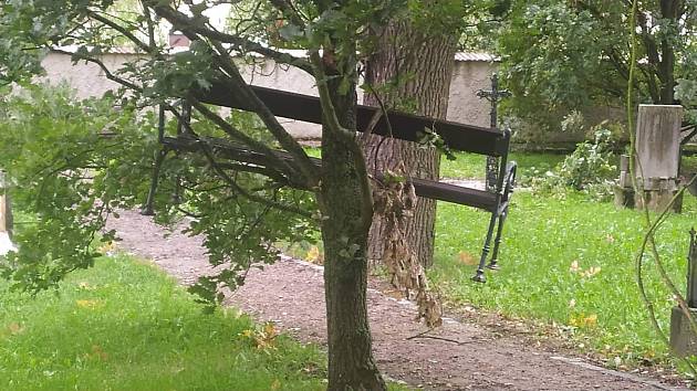 Někdo umístil lavičky na stromy a hroby.