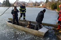 Žďárští a jamští hasiči v sobotu zachránili psa, který se topil v rybníku v Jámách. Přes led se k němu museli probourat.