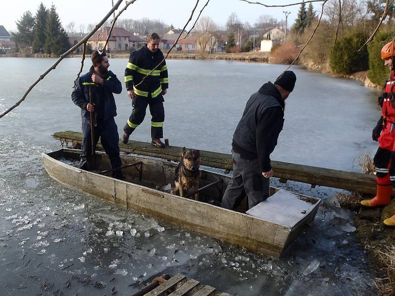 Žďárští a jamští hasiči zachránili před časem psa, který se topil v rybníku v Jámách. Přes led se k němu museli probourat.