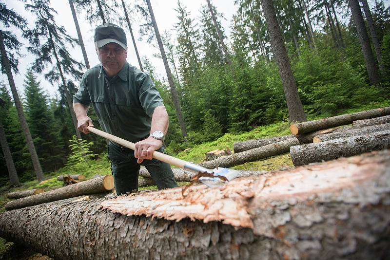 Radek Koudela vedoucí lesní výroby a obchodu se dřívím akciové společnosti Kinský Žďár.