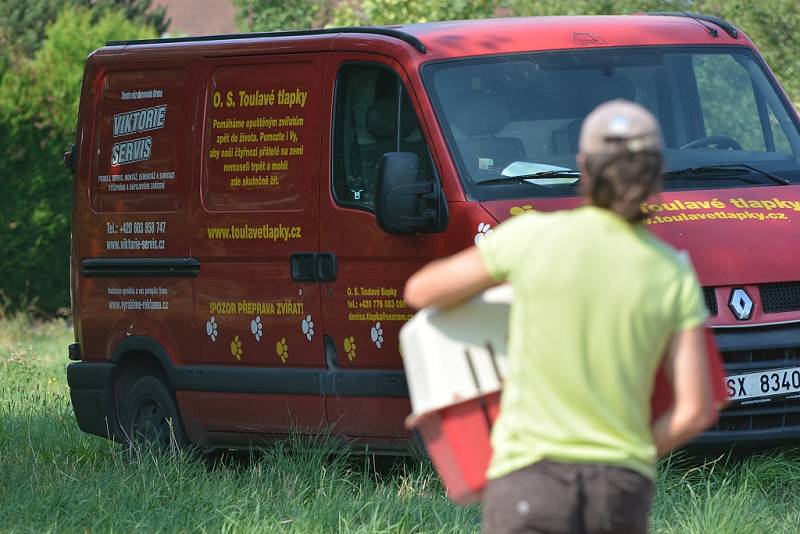 Z útulku odebrali všechny psy, provozovatelé péči nezvládali. Žďárská radnice řeší, kam teď bude umisťovat zatoulaná zvířata odchycená na území města.