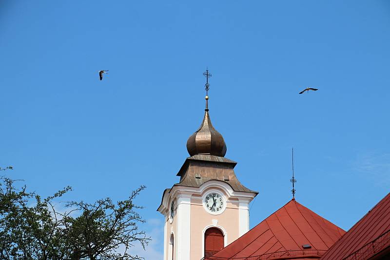 Čápi přinášejí na křídlech jaro.