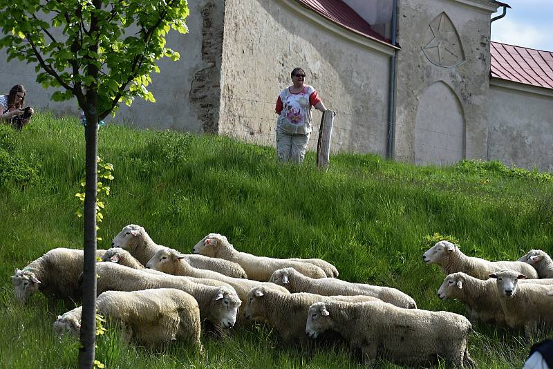 Krajina pod památkou Unesco už je zase jako z barokního obrázku.