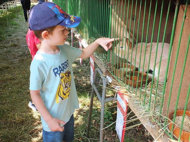 Podpeperská výstava přilákala opět stovky lidí, k vidění toho bylo hodně