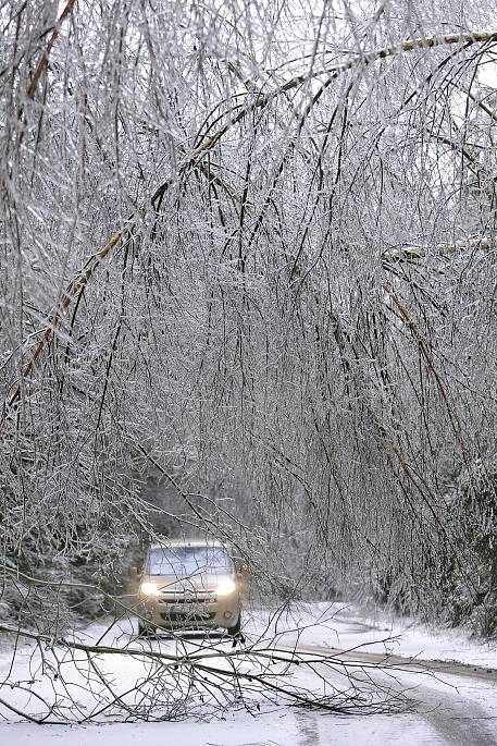 Na Vysočině byly kvůli spadlým stromům 2. prosince ráno uzavřeny čtyři silnice. Stromy na trati zastavily také provoz několika vlaků, hlavně na Žďársku. Energetici mají problémy především na Třebíčsku, kde mohlo být bez dodávek proudu stovky i několik tis