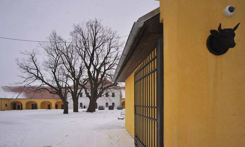 Od poloviny února se začne ve zkušebním provozu testovat turistické centrum Eden v Bystřici nad Pernštejnem.