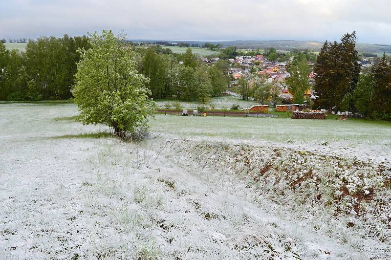 Ledoví muži přinesli sníh i mráz. 12. květen 2020, Vojnův Městec, Kraj Vysočina, 595 metrů nad mořem, - 0,5 stupňů Celsia, cca 6 hodin ráno.