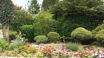 Nádherně rozkvetlá zahrada pana Broži koncem června.