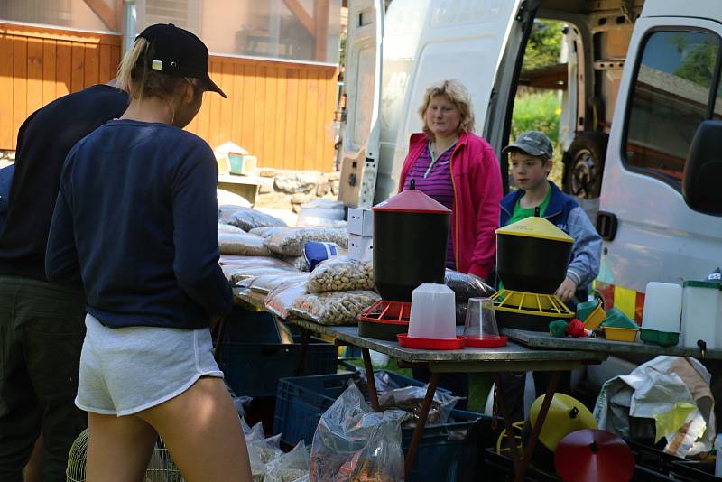 Drůbež, exotické ptactvo, králíky i rostliny mohli návštěvníci chovatelské expozice obdivovat i nakupovat.