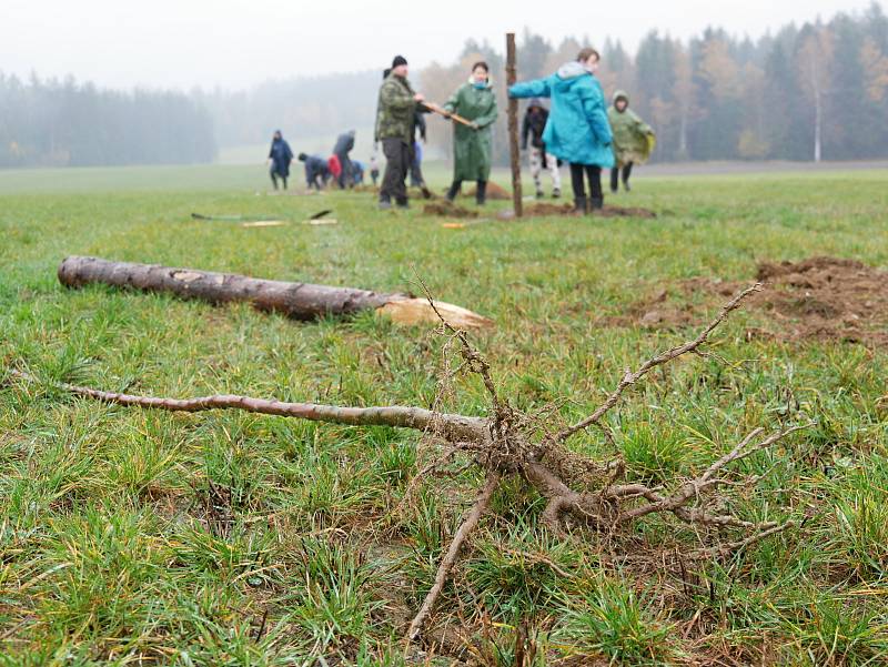 Účastníky sázení neodradil chlad ani déšť. Díky nim na ovčí pastvinu přibylo zhruba osm desítek nových stromů.