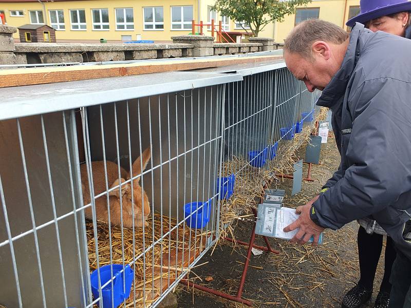 Největší chovatelská výstava v Kraji Vysočina přilákala o víkendu davy návštěvníků.