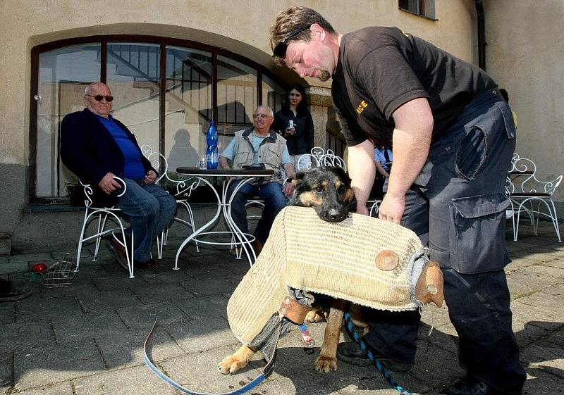 Ukázkou práce policejních kynologů skončil žďárský preventivní projekt Neohrožený třetí věk.