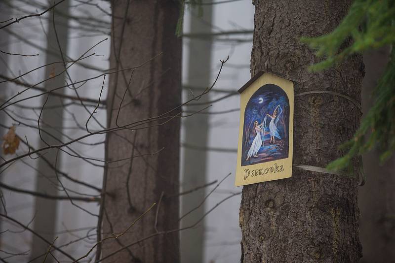 Obrázky na stromech v lese Ochoza u Vysočina arény v Novém Městě na Moravě.