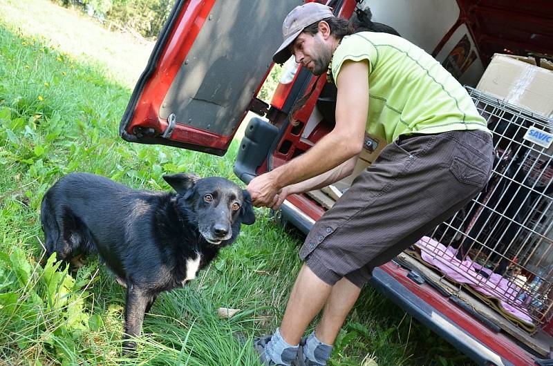 Z útulku odebrali všechny psy, provozovatelé péči nezvládali. Žďárská radnice řeší, kam teď bude umisťovat zatoulaná zvířata odchycená na území města.