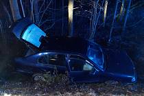 Devatenáctiletý řidič boural do stromu u Stržanova, nezranil se.