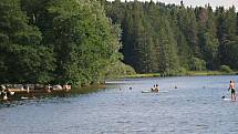 Rybník Medlov patří k často vyhledávaným vodním plochám.