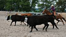 Black Angus Championship 2013.