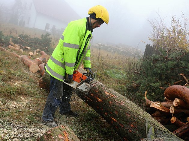Zkušený arborista vyřeší problémy s dřevinami. O strom se máme starat odmala