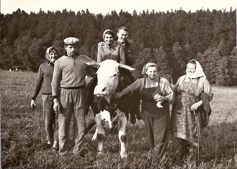 Obyvatelé Rokytna se velmi dlouho bránili založení jednotného zemědělského družstva. Příliš lpěli na osobním vlastnictví. Teprve 1. dubna 1956 byl založen kolektivní zemědělský podnik.