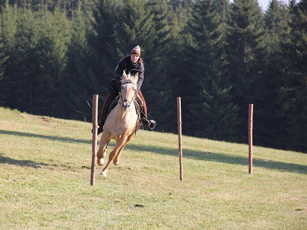 V Kuklíku a ve Stránecké Zhoři budou v sobotu hledat Krále honu