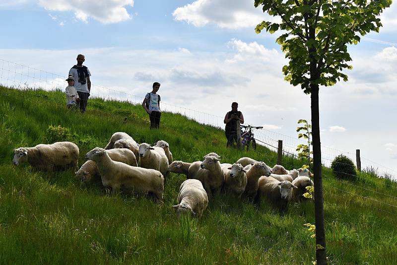 Krajina pod památkou Unesco už je zase jako z barokního obrázku.