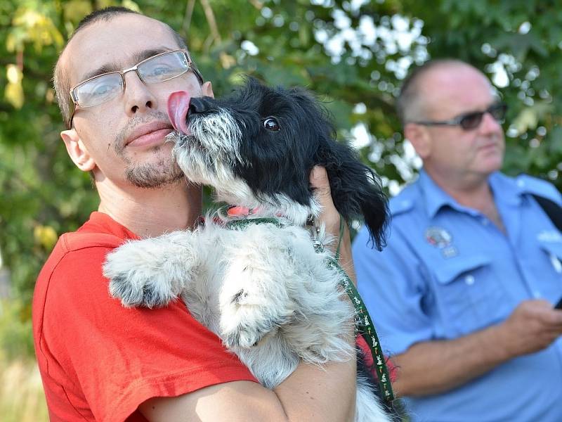 Z útulku odebrali všechny psy, provozovatelé péči nezvládali. Žďárská radnice řeší, kam teď bude umisťovat zatoulaná zvířata odchycená na území města.