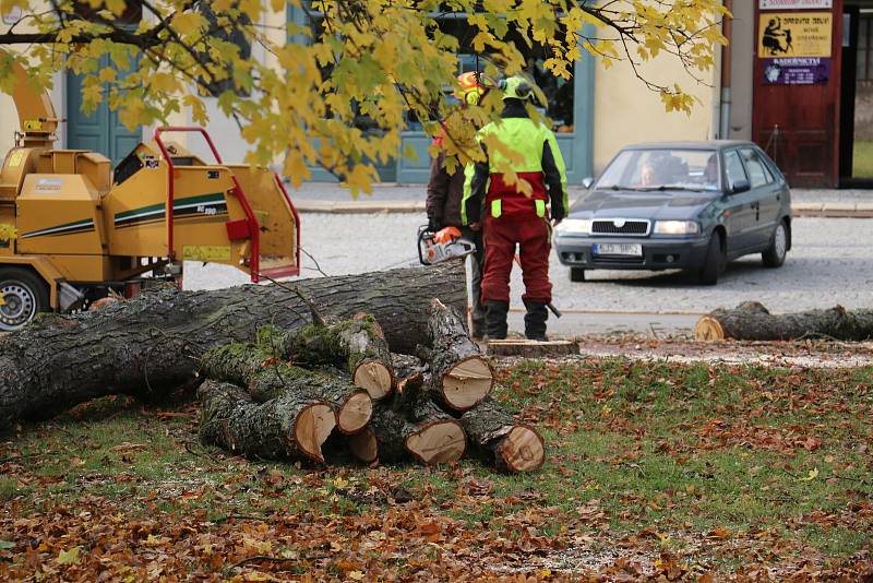 Do kmenů stromů se zakously motorové pily.