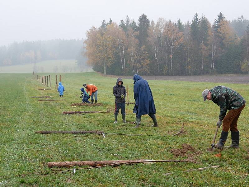 Účastníky sázení neodradil chlad ani déšť. Díky nim na ovčí pastvinu přibylo zhruba osm desítek nových stromů.