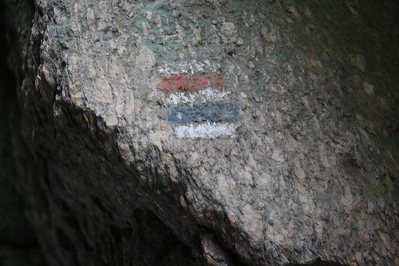 Vykácené stromy, paseky, mizející turistické značení i tabulky terénní záchranné služby má na svědomí lýkožrout smrkový.