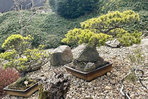 Unikátní japonská kamenná zahrada ve Sněžném.