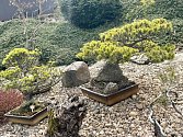 Unikátní japonská kamenná zahrada ve Sněžném.