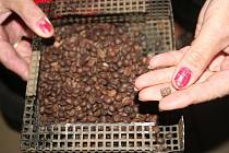 V malé obci v srdci Žďárských vrchů vzniká káva značky Hofr. Jsou pod ní podepsáni majitelé místní pražírny – Jarmila Kašparová.    
