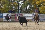 Finále Black Angus Championship 2013 ovládlo o víkendu Mitrovský dvůr na Bystřicku. Nejlepší jezdci se utkali například v disciplíně ranch roping. Nechyběl slavnostní nástup všech účastníků závodů ani trhy s produkty z Vysočiny.