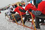 Při "sáňkování" po ledě musejí závodníci pořádně zabrat. Jakmile však saně "chytí tempo", jedou prý po ledové dráze skoro stejně rychle jako dračí lodě po vodní hladině.