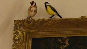 Ptačí orloj nabízí Horácké muzeum v Novém Městě.