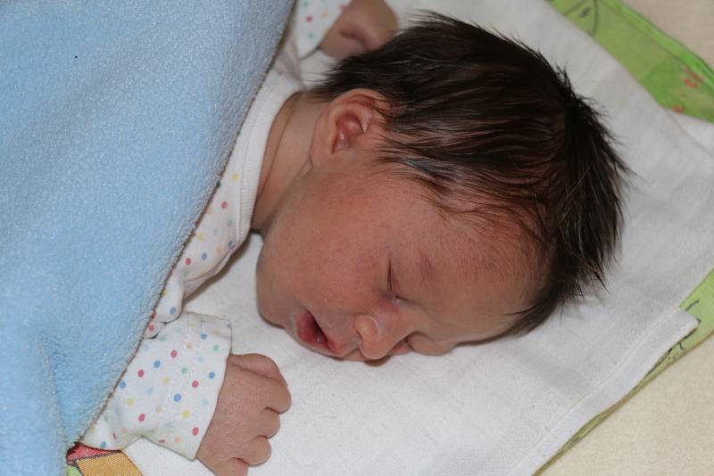 Gabriel Morkus, Žďár nad Sázavou, 4.12. 2018, 2980 g, 50 cm. Foto: Deník/Jana Nedělková