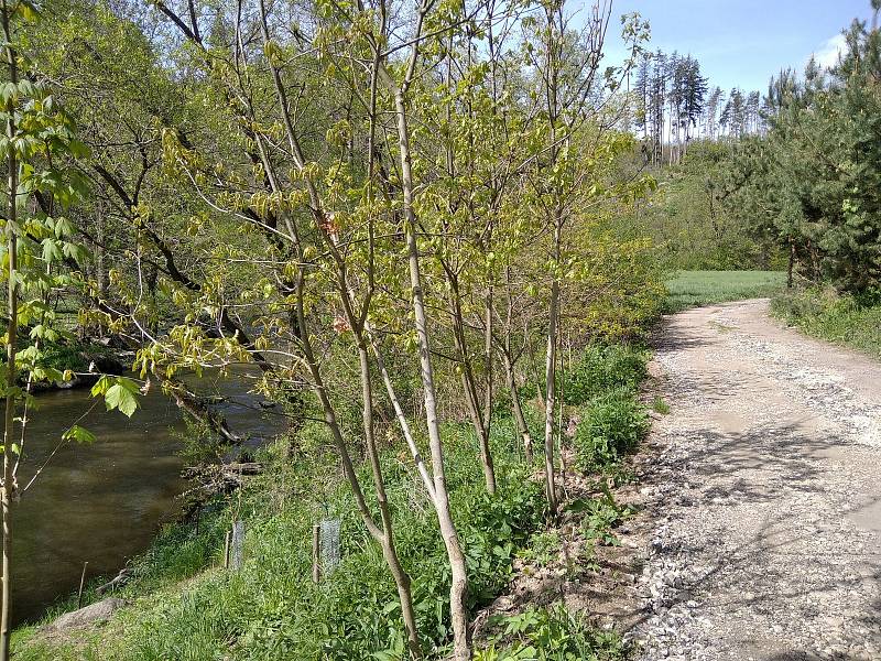 Holonkův Mlýn aneb, kam na cyklovýlet s menšími dětmi v okolí Velkého Meziříčí