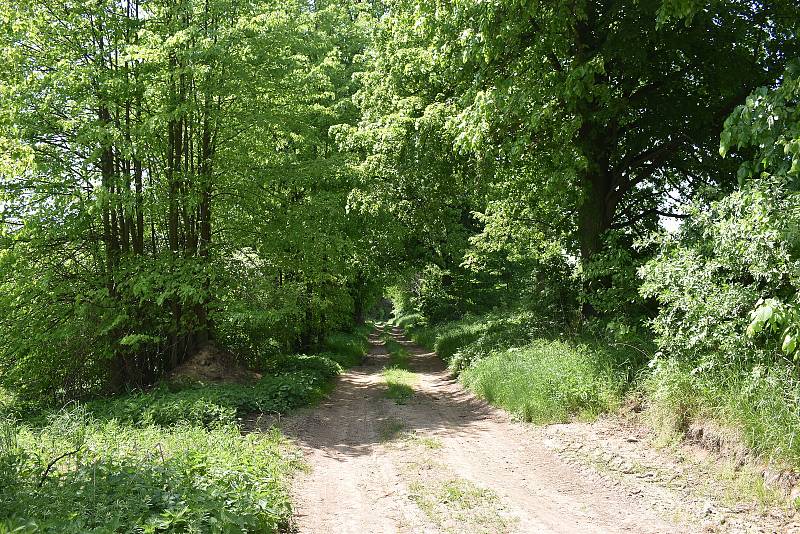 Nový rybník je zasazen do krásné krajiny v okolí Vojetína. Láká ke koupání.