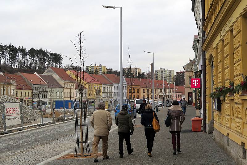 Stromy na vnější straně Karlova náměstí. S těmito památkáři souhlasili.