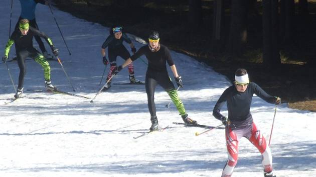 Sníh ve Vysočina areně pod náporem jarního slunce rychle mizí. Poslední šanci k lyžování mají sportovci v krátkém úseku sousedního lesa Plačkovec, kde dosud také trénují členové novoměstského sportovního klubu.