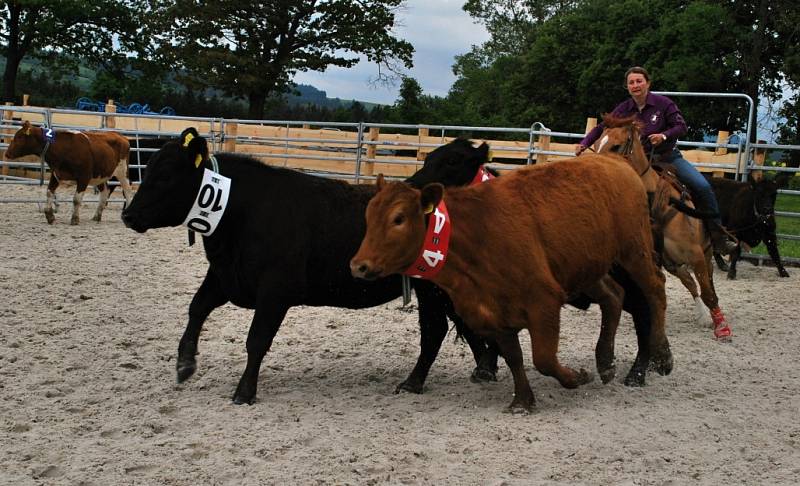 Black Angus Championship 2013.