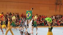 World Gymnaestrada 2019 Dorbirn. Foto: archiv Františka Humpolce