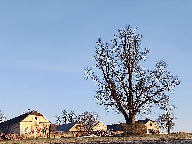 Trnávka a okolí