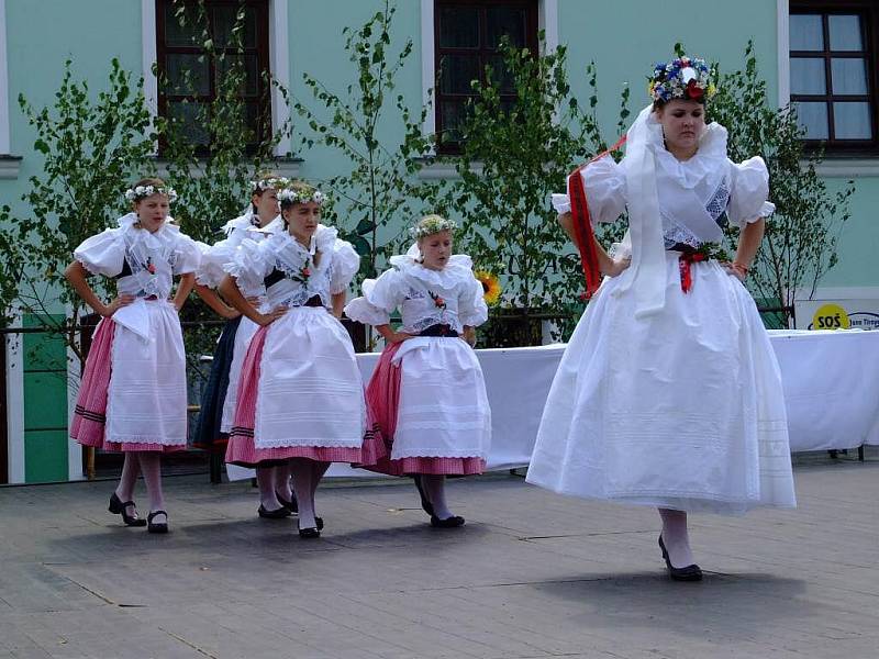 Přehlídka pestrobarevných krojů, pásma písniček, hudby a tanců nebo ukázka lidových obyčejů – tak pokračovalo hodové veselí ve Velké Bíteši. 