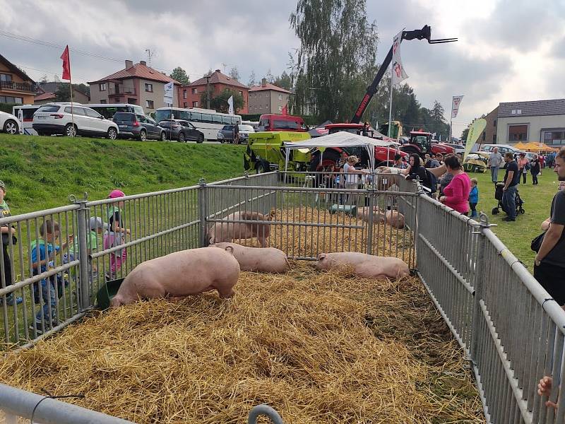 Na Dni českého strakatého skotu v Radešínské Svratce byla k vidění nejen zvířata, ale například i zemědělská technika.