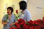 Studentky rozdávaly sestřičkám v novoměstské nemocnici rudé růže s přáním k Mezinárodnímu dni sester.